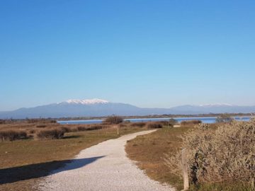 une semaine riche pour l'équipe du débat qui se trouvait cette semaine à Béziers, Perpignan et Sète